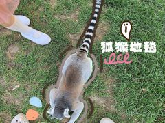 -沈阳森林动物园