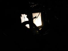 -明月山天沐温泉度假村