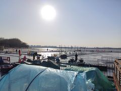 -丁香湖公园