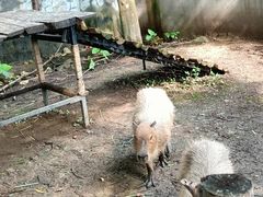 -泉州海丝野生动物世界
