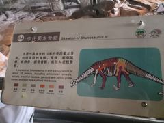 -自贡恐龙博物馆