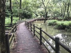 -木兰云雾山