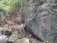 -霸王岭国家森林公园