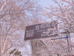 -鸡鸣寺