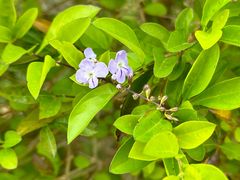 -露天矿生态公园