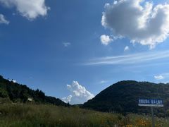 -武陵山森林公园