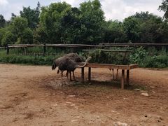 -昆明动物园