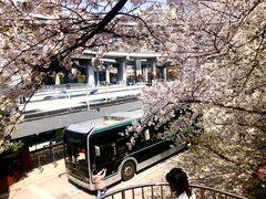 -上海南浦大桥长途旅游客运站