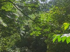 -五泄景区