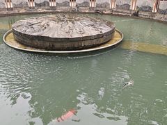 -成都市活水公园