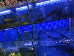 -鲍氏金勺子(恒大店)