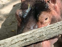 -昆明动物园