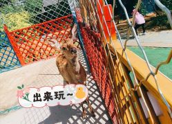 -萌宠亲子动物乐园(槐房万达店)