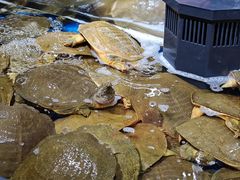 -永辉超市(福州市大儒世家店)