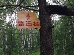 -哈乌尔河