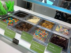 -Salud撒露欧洲冻酸奶(北苑上品店)