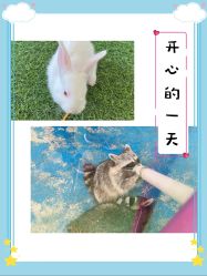 点击看大图 -萌宠亲子动物乐园(槐房万达店)