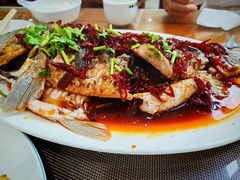 -微山岛春天里酒家