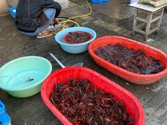 -盱眙虾怪·旗舰店