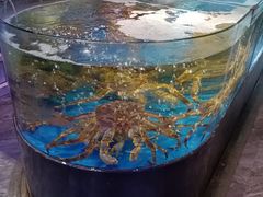 -蟹之国·精品蟹料理(极地店)