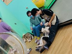 -Husky Go! 哈士奇体验馆·宠物咖啡厅狗咖