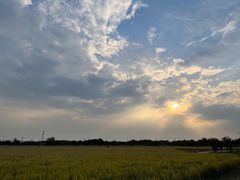 -嘉北郊野公园
