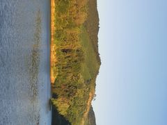 -冶父山国家森林公园