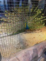 -酷嗒动物文化乐园(cutezoo西溪乐天城店)