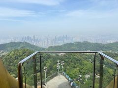 -大金鹰园
