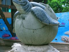 -广东惠东海龟国家级自然保护区