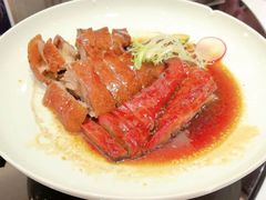 -新雅粤菜馆(南京东路店)