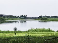 -阳澄湖半岛旅游度假区