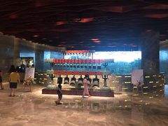 -深圳隐秀山居酒店