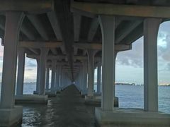 -宝安西湾红树林湿地公园