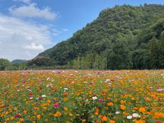 -贵阳市花溪国家城市湿地公园