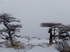 -秦岭风景区