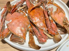 -连鹭海鲜·海肠捞饭·海胆饭(星海店)