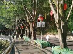 -金鸡山公园