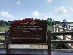 -东寨港红树林旅游区