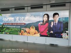 -温州龙湾国际机场