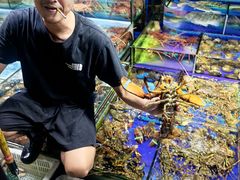 -霞涌市场海鲜摆卖区