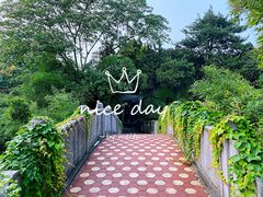 -菊花台公园