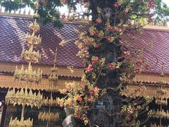 -柬埔寨国家博物馆