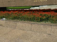 android_upload_pic-上海市龙华烈士陵园