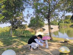 -瑶湖郊野森林公园