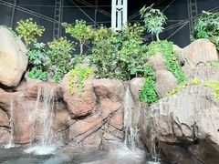 -上海海洋水族馆