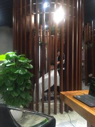 -思妍丽美发沙龙