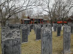 -大槐树寻根祭祖园