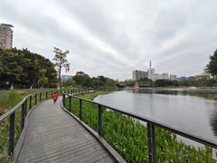 -映月湖公园