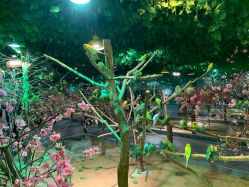 -酷嗒动物文化乐园(cutezoo西溪乐天城店)